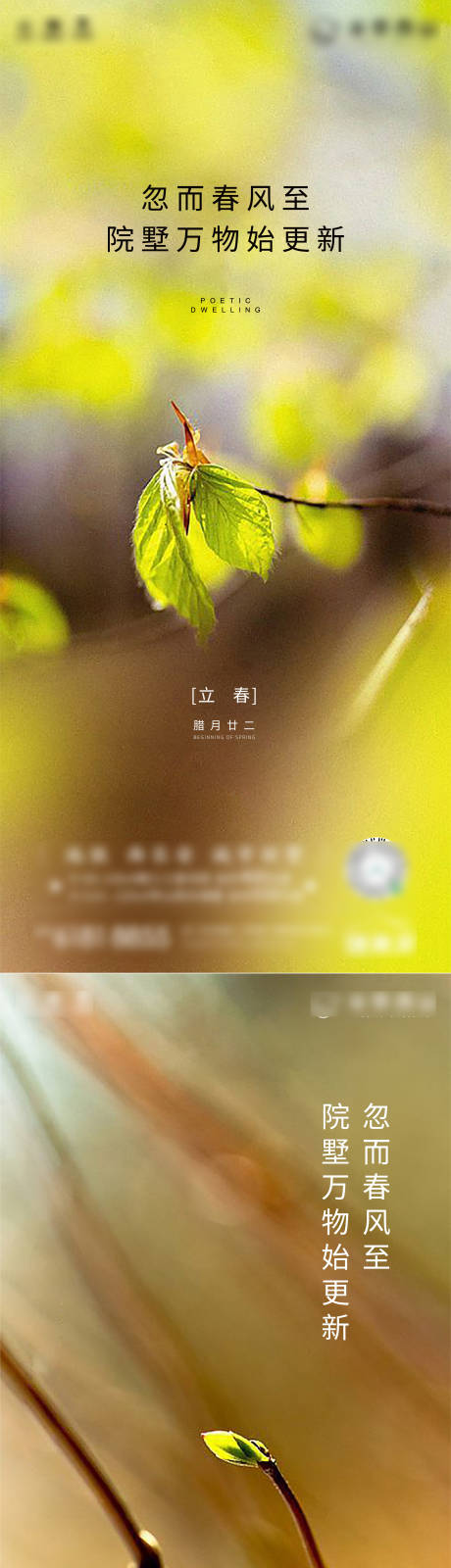 源文件下载【立春系列海报】编号：20220215172923683