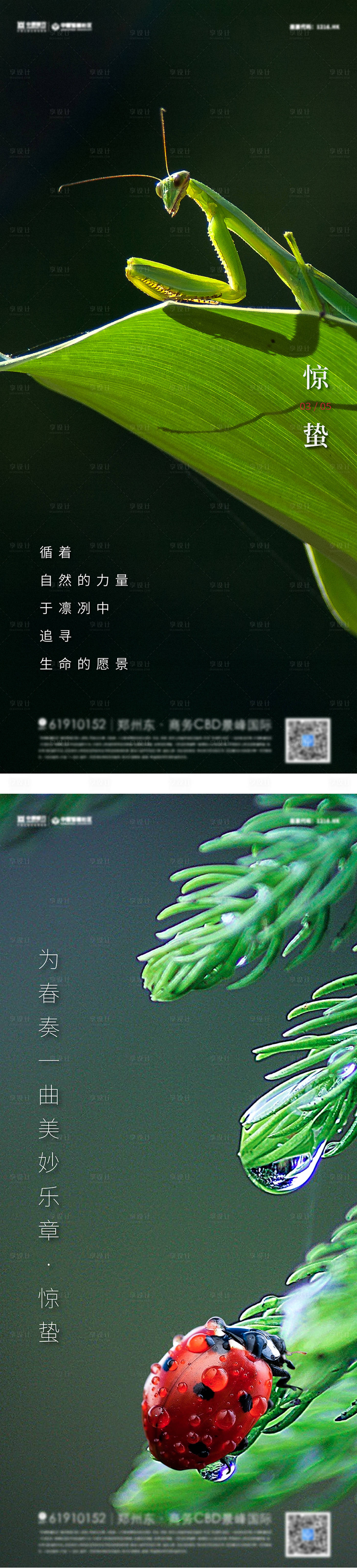 源文件下載【享設(shè)計】搜索編號：20480008313421901【驚蟄節(jié)氣系列海報】