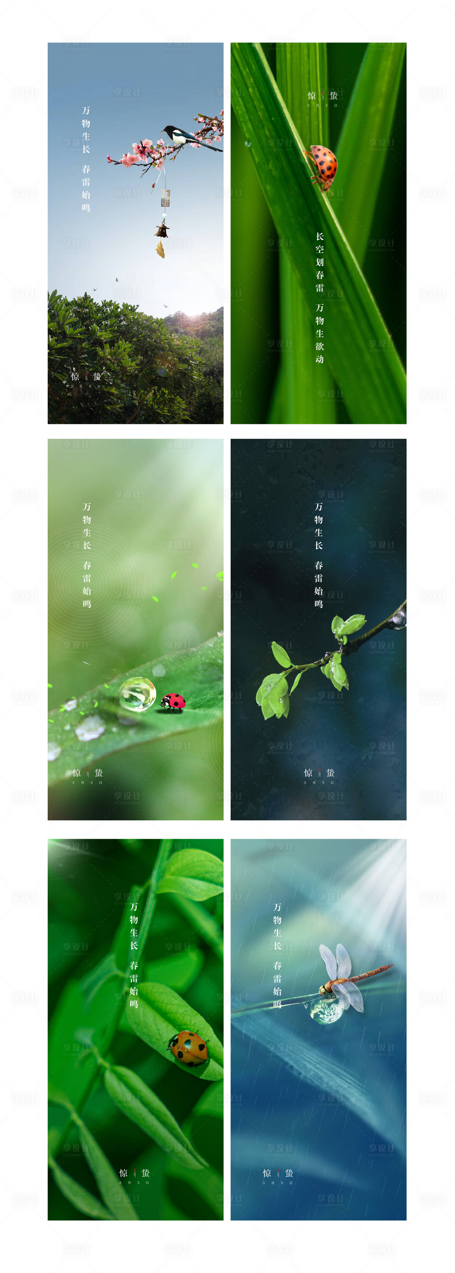 源文件下载【享设计】搜索编号：96140008610835844【惊蛰节气系列海报】