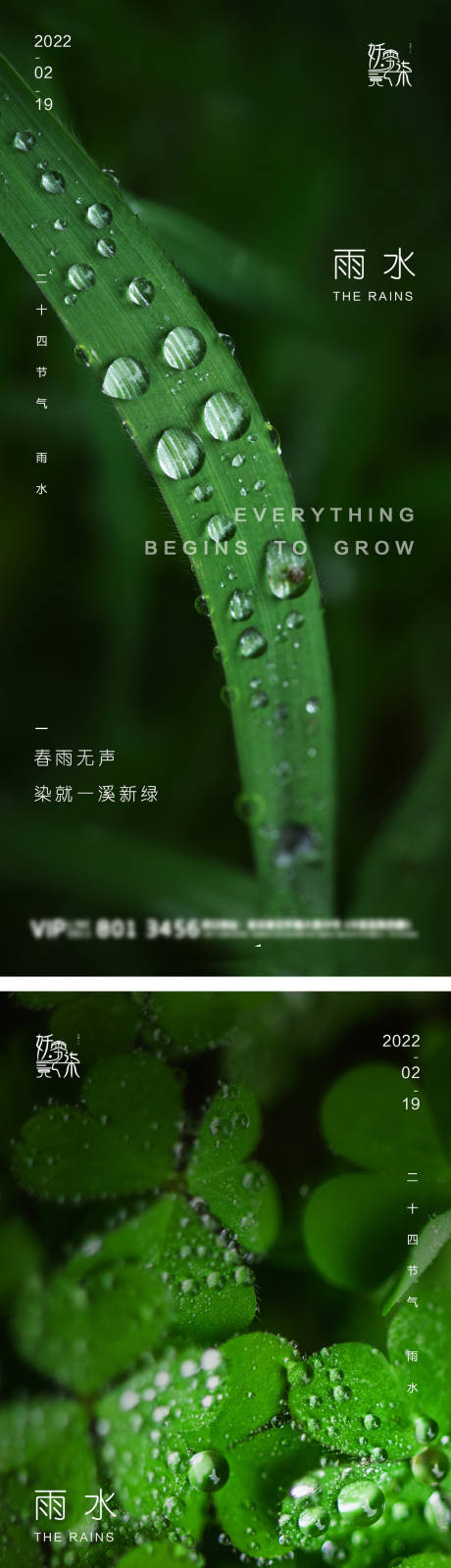 源文件下载【雨水节气系列海报】编号：44080008470927154