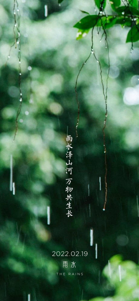 源文件下载【雨水单图】编号：66460008436577426