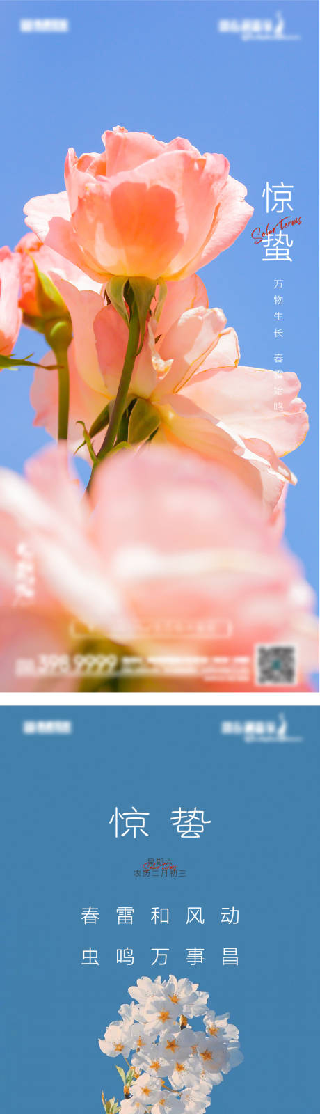 源文件下载【地产惊蛰海报】编号：21930008542291768