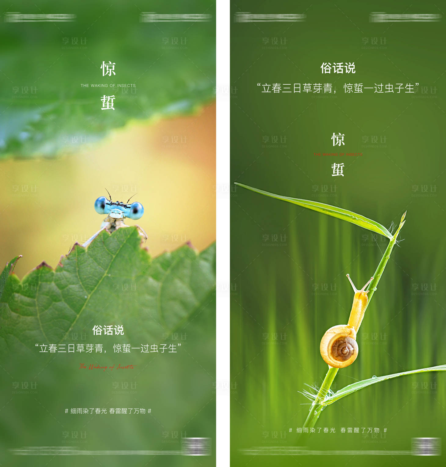 源文件下载【惊蛰节气】编号：94800008417121952