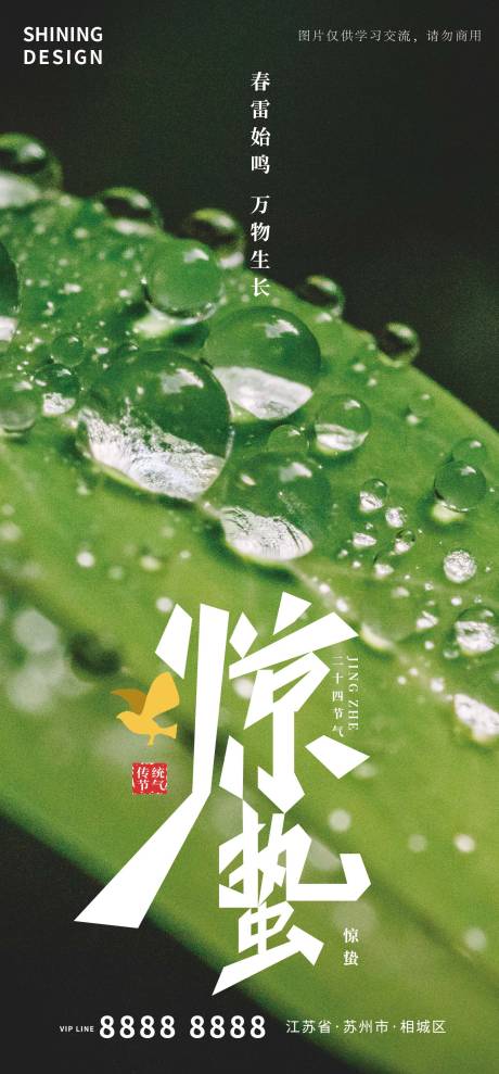 源文件下载【叶子雨水惊蛰节气海报】编号：37130008555808892