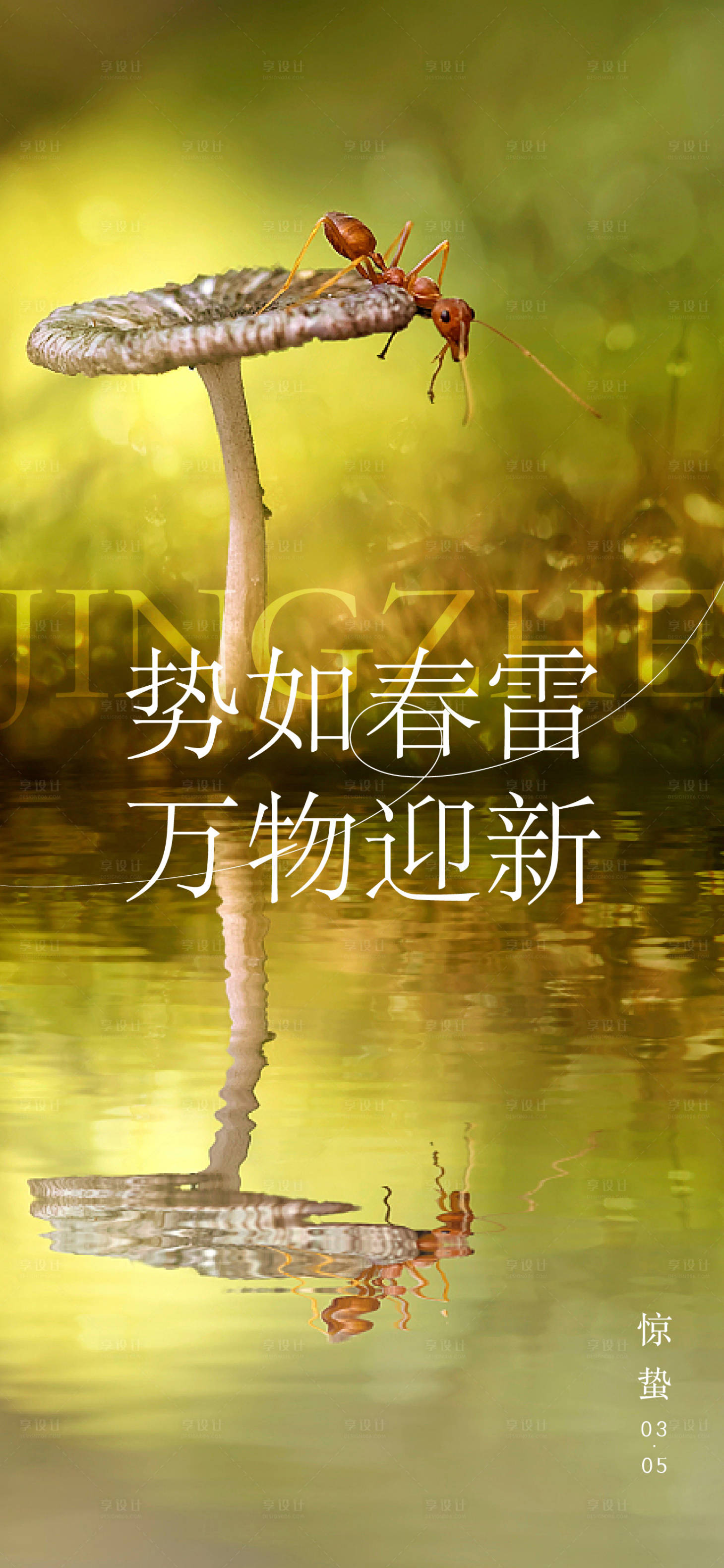 源文件下載【享設計】搜索編號：33380008515424158【驚蟄節氣海報】