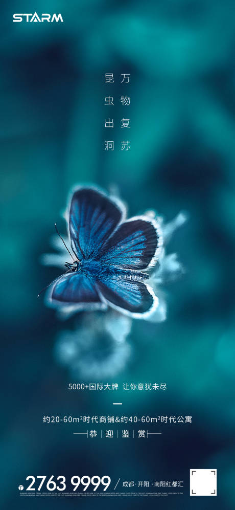 源文件下載【驚蟄】編號：67860008483999758