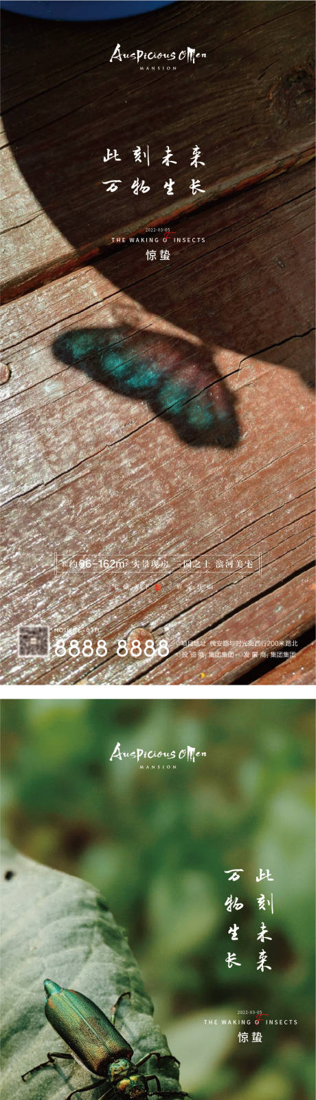 源文件下载【惊蛰节气海报】编号：57370008280882365