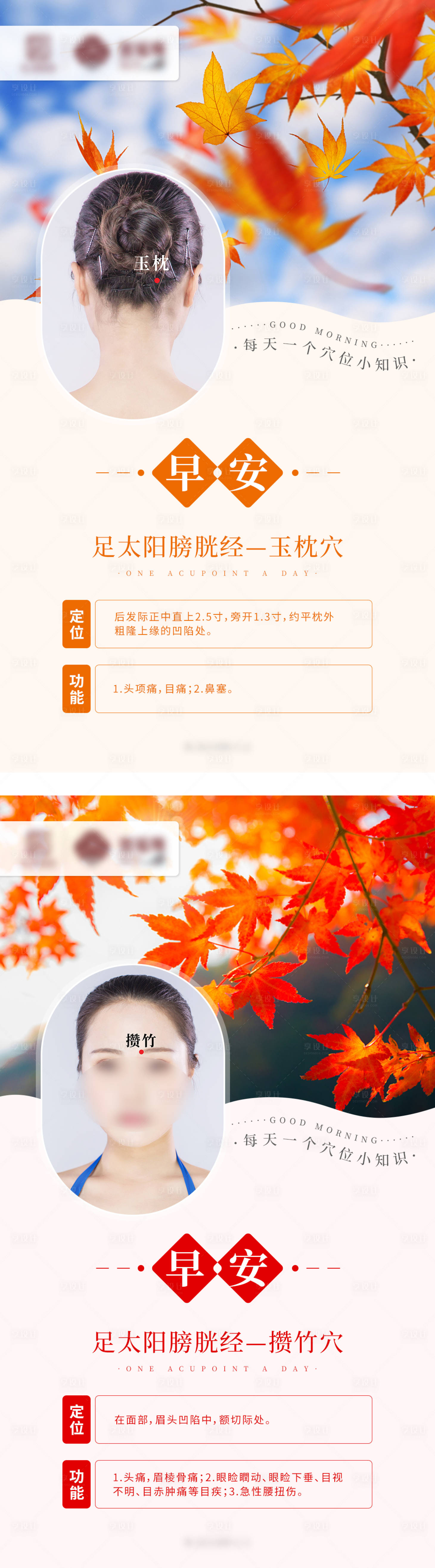 源文件下载【中医穴位科普海报】编号：71050008554145459