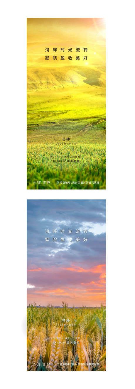 源文件下載【享設計】搜索編號：81950008516303531【地產節氣芒種】