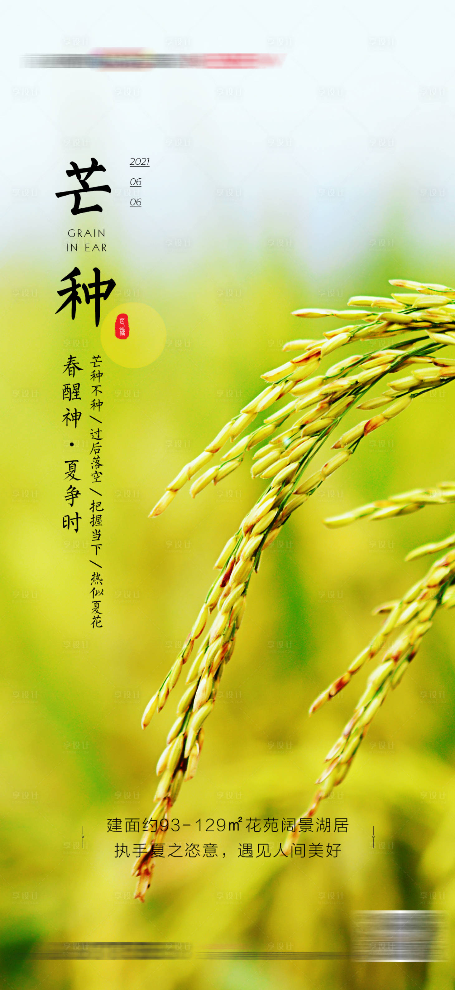 源文件下载【地产芒种节日节气海报】编号：87380008344806637