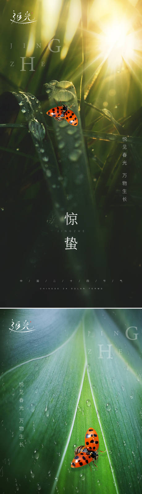 源文件下载【地产惊蛰节气系列海报】编号：62680008523575049