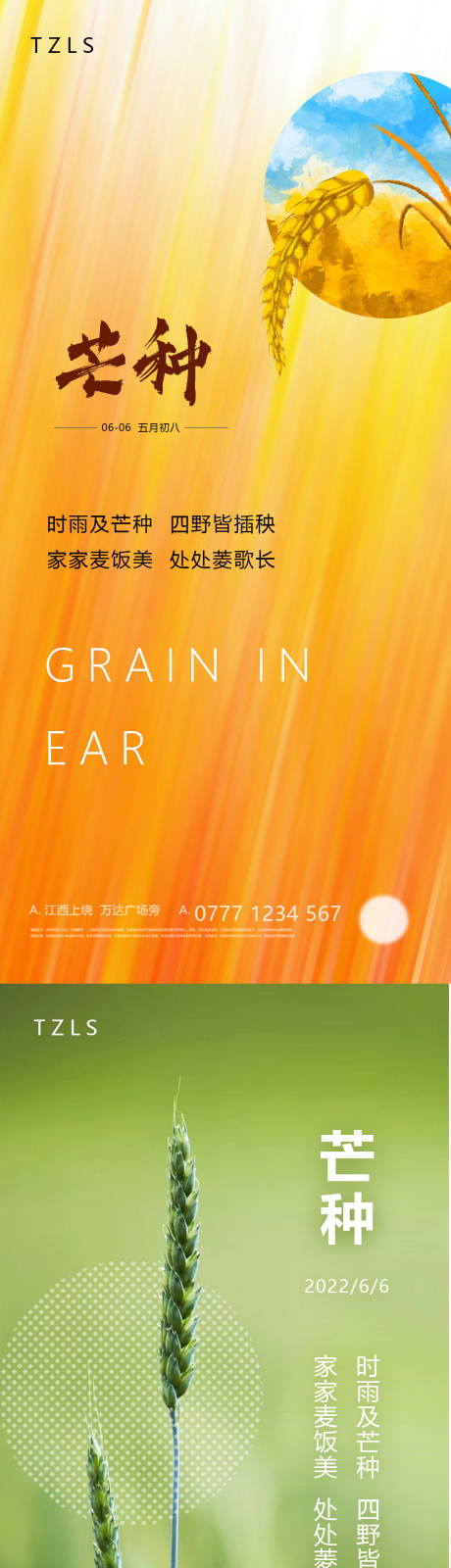 源文件下载【芒种节气海报】编号：62480008499344471