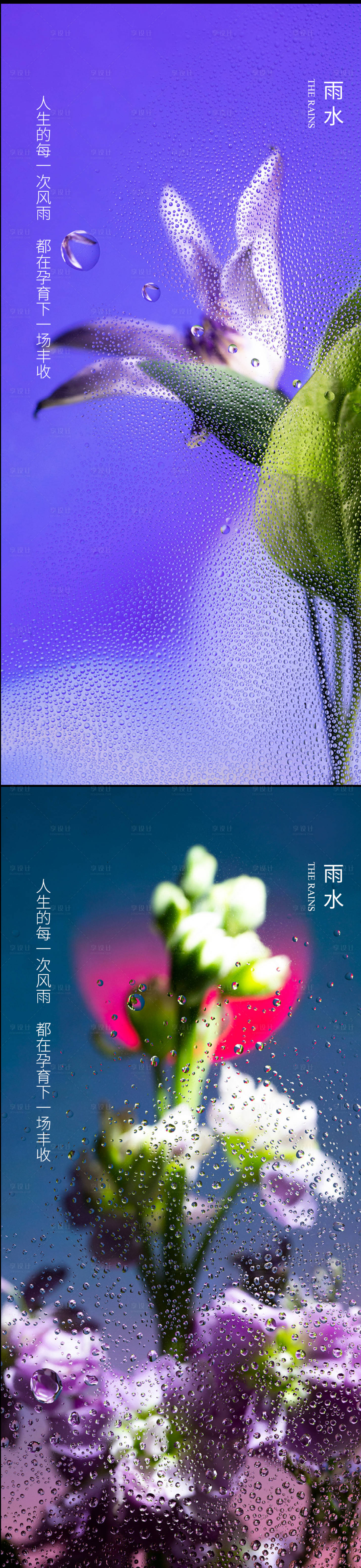 源文件下载【享设计】搜索编号：21790008407352194【雨水谷节气系列海报】