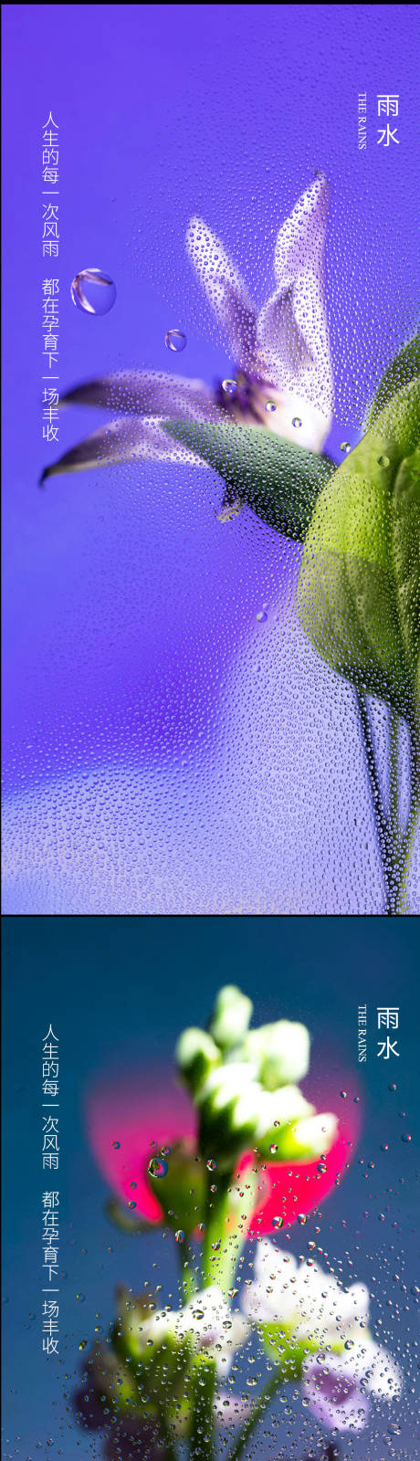 编号：20220214205147716【享设计】源文件下载-雨水谷节气系列海报