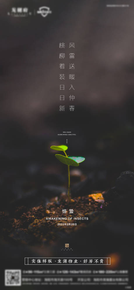 源文件下载【惊蛰节气海报】编号：36740008617404542