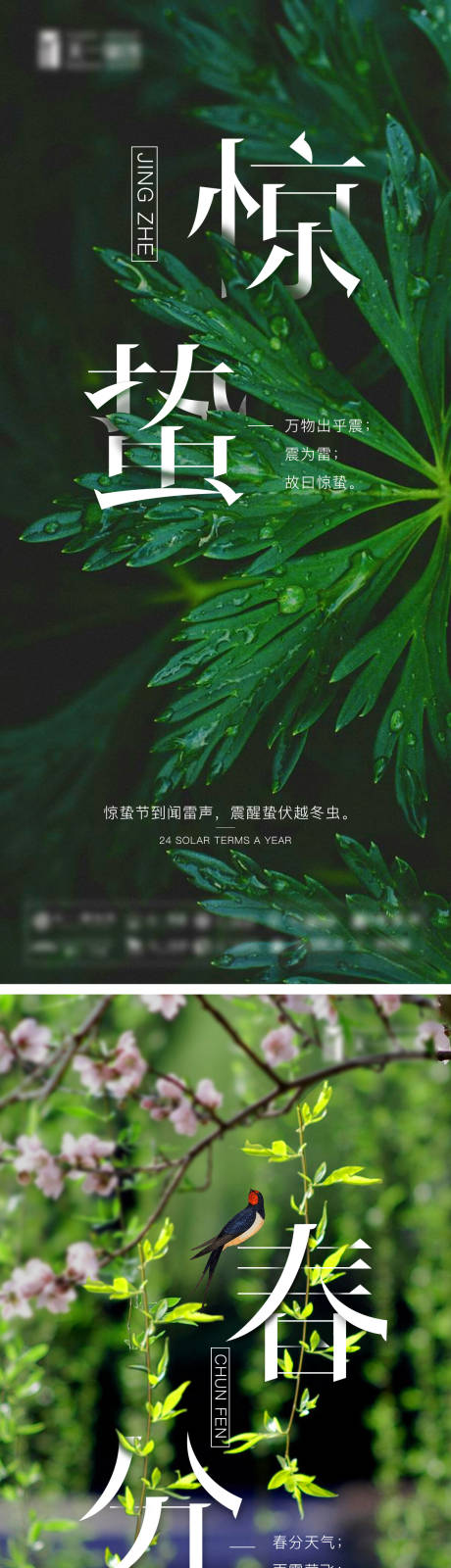 源文件下载【春分惊蛰节气海报】编号：58770008436636137