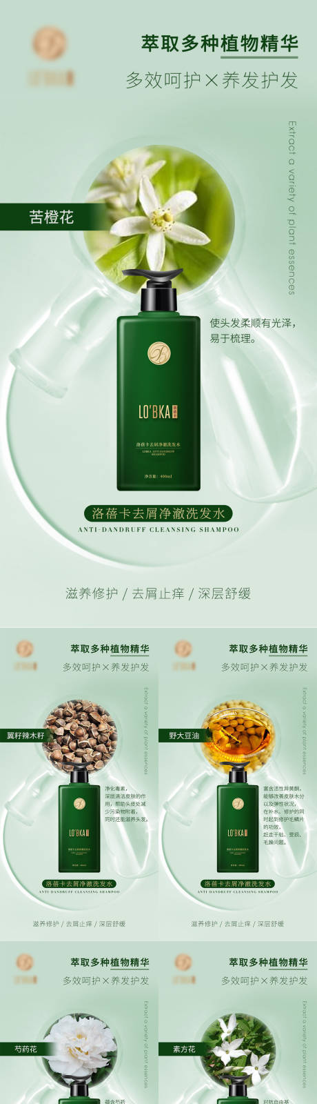 源文件下载【洗发水护发产品成分海报系列】编号：70310008386842982