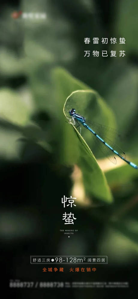 源文件下载【惊蛰节气海报】编号：28840008548511415