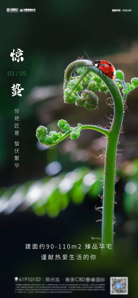 源文件下载【地产惊蛰节气海报】编号：92830008527549657