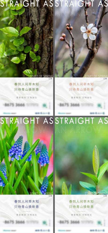 源文件下载【立春节气海报】编号：17930008532018181