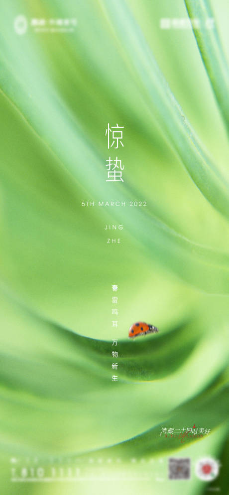 源文件下载【房地产惊蛰节气海报】编号：39870008501025602