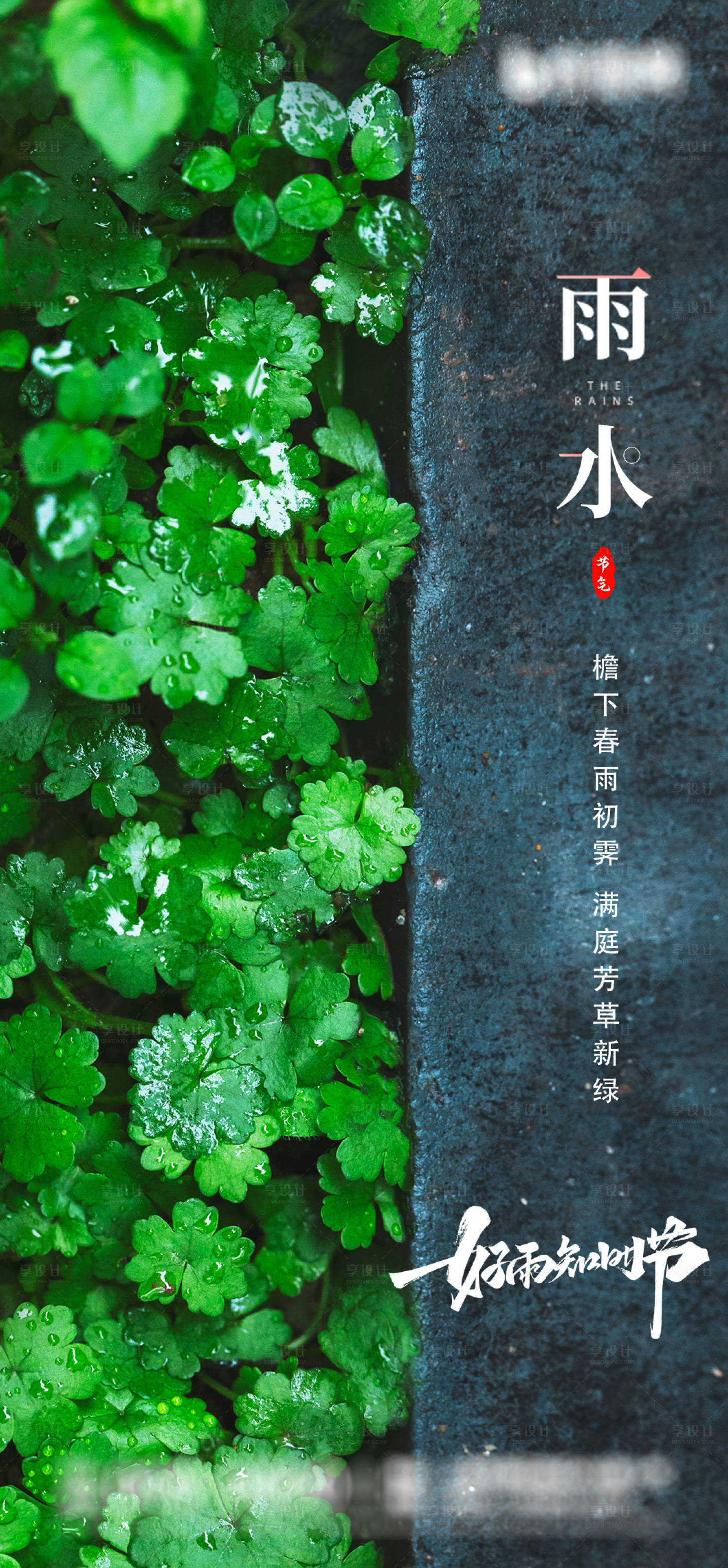 源文件下载【雨水海报】编号：41480008404319032
