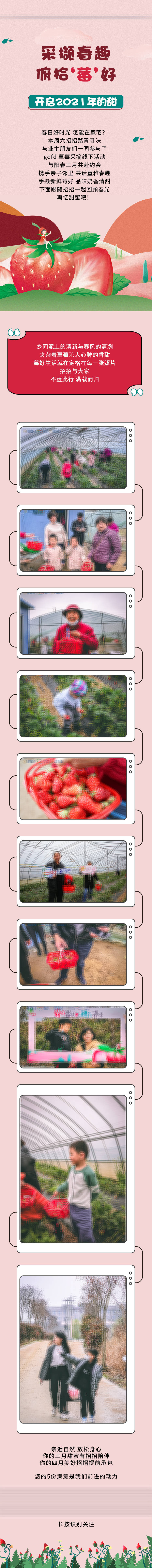 编号：20220216113030190【享设计】源文件下载-俯拾美好草莓采摘长图