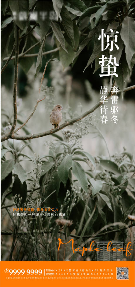 源文件下载【享设计】搜索编号：55610008441434739【惊蛰节气海报】