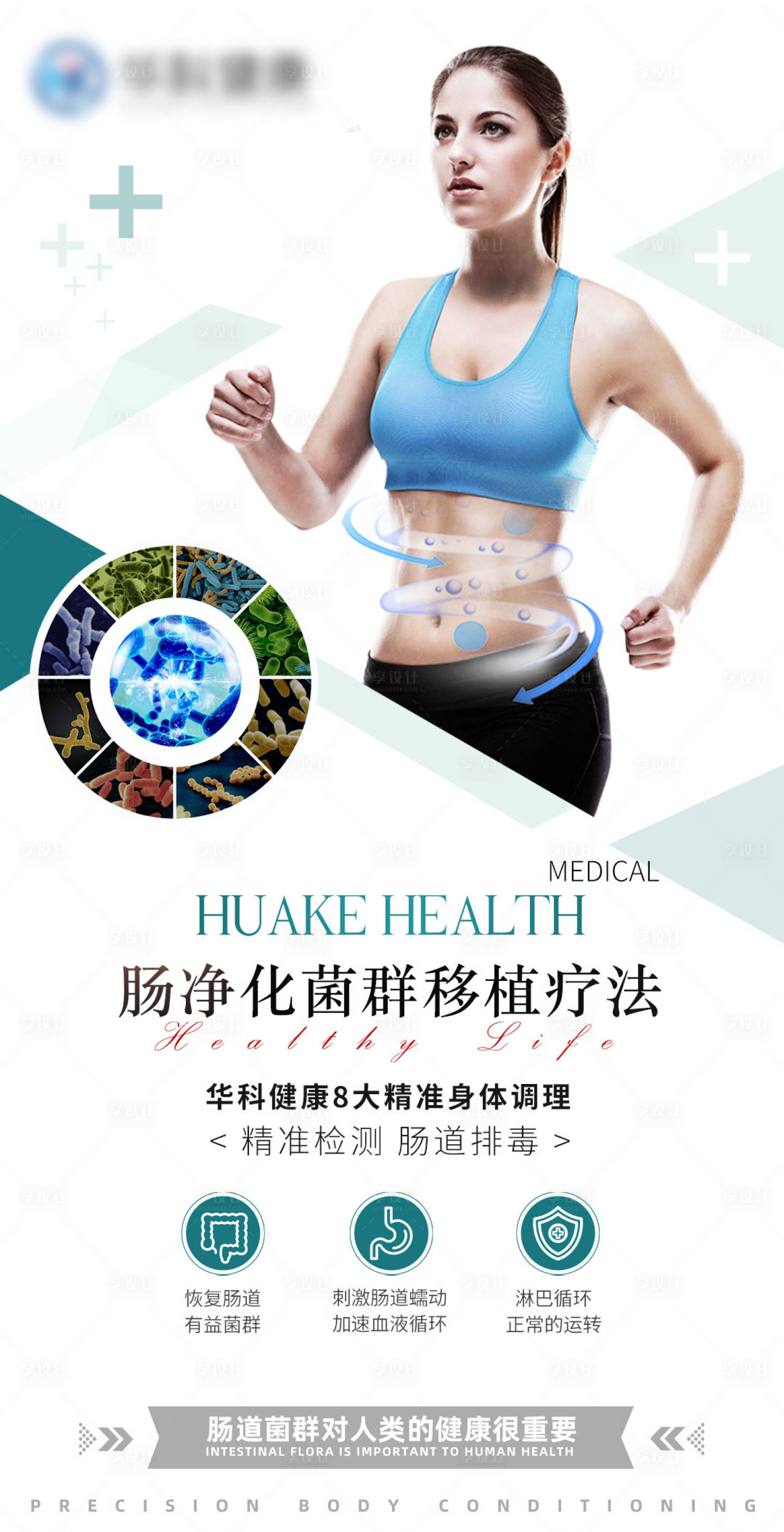 源文件下载【肠净化菌群移植疗法海报】编号：51220008402917189