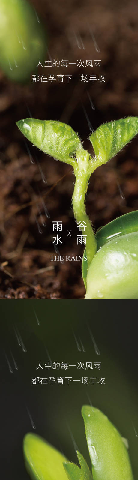 源文件下載【享設計】搜索編號：13230008372984701【雨水谷雨節氣系列海報】