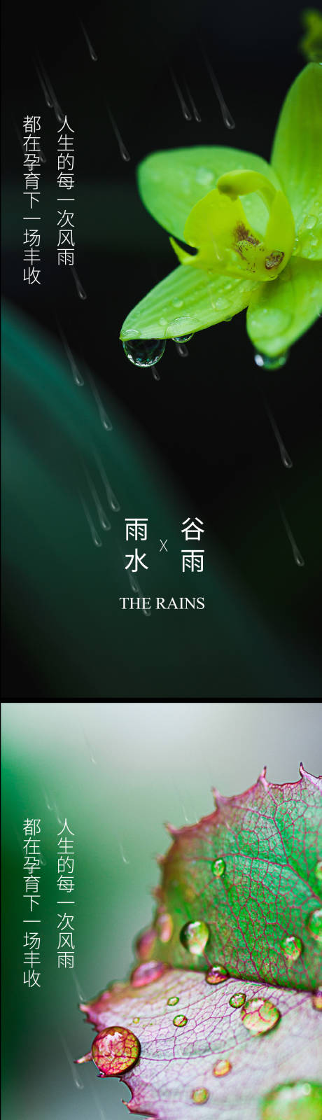 源文件下载【雨水谷雨节气系列海报】编号：20220212144347742