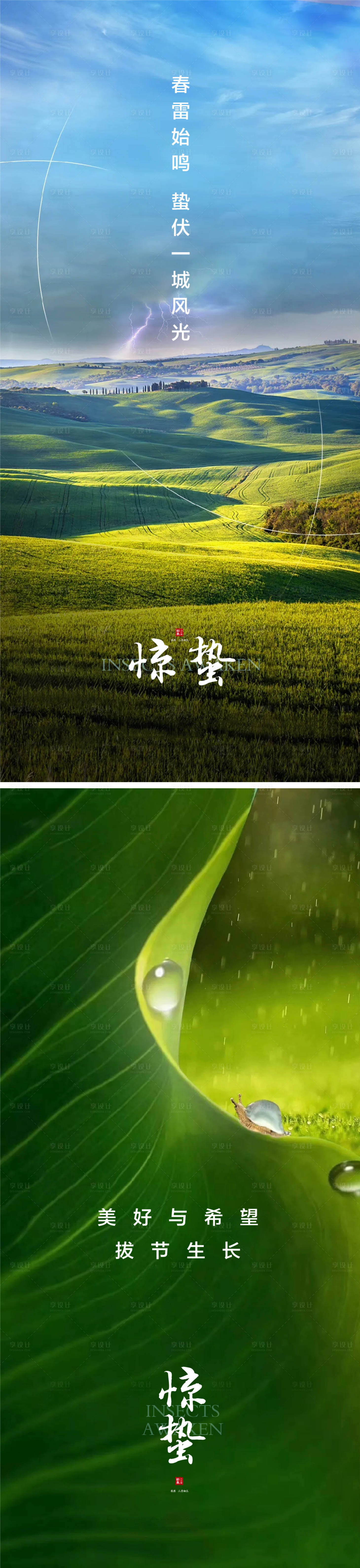 源文件下载【享设计】搜索编号：42500008612524226【惊蛰节气系列海报】