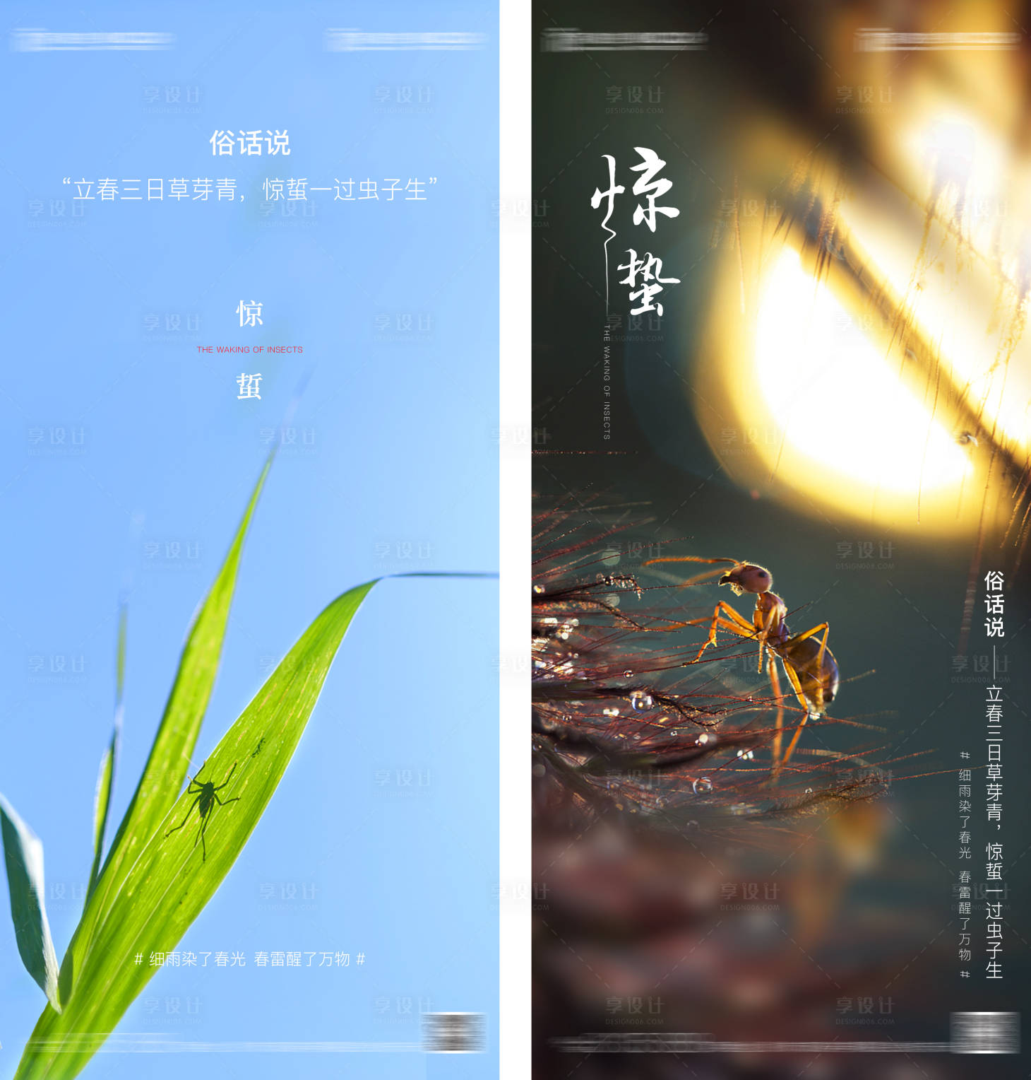 源文件下载【惊蛰节气系列海报】编号：70280008416973291