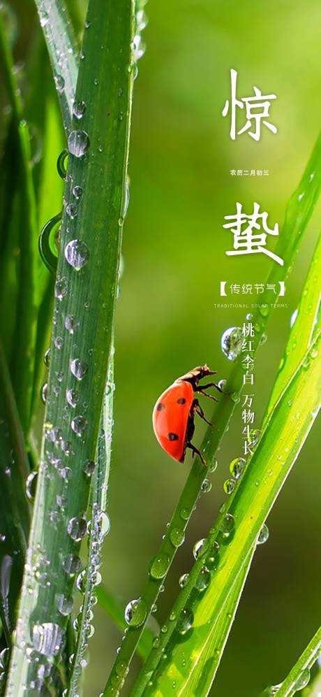 源文件下载【享设计】搜索编号：92090008499211646【惊蛰节气海报】