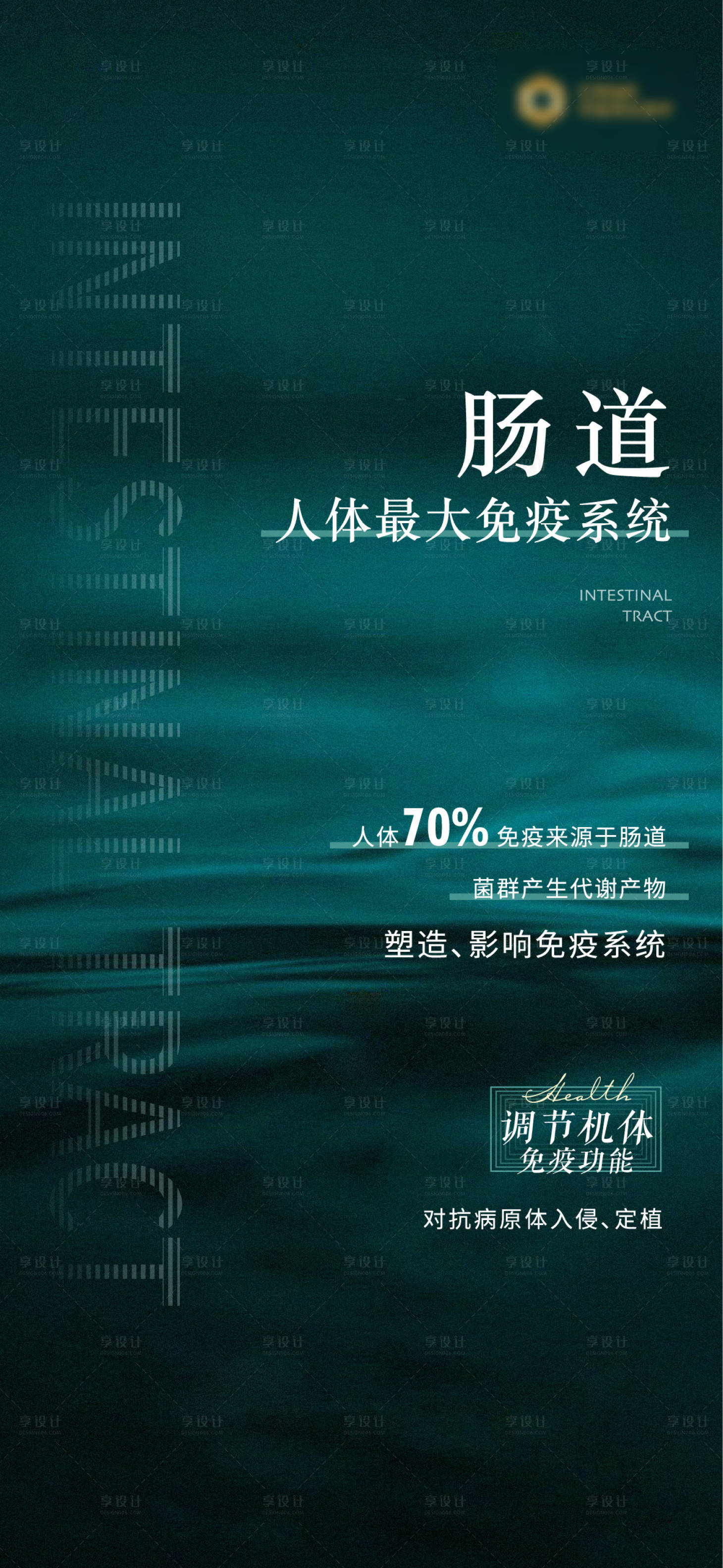 源文件下载【享设计】搜索编号：49110008356307656【绿色肠道健康海报】