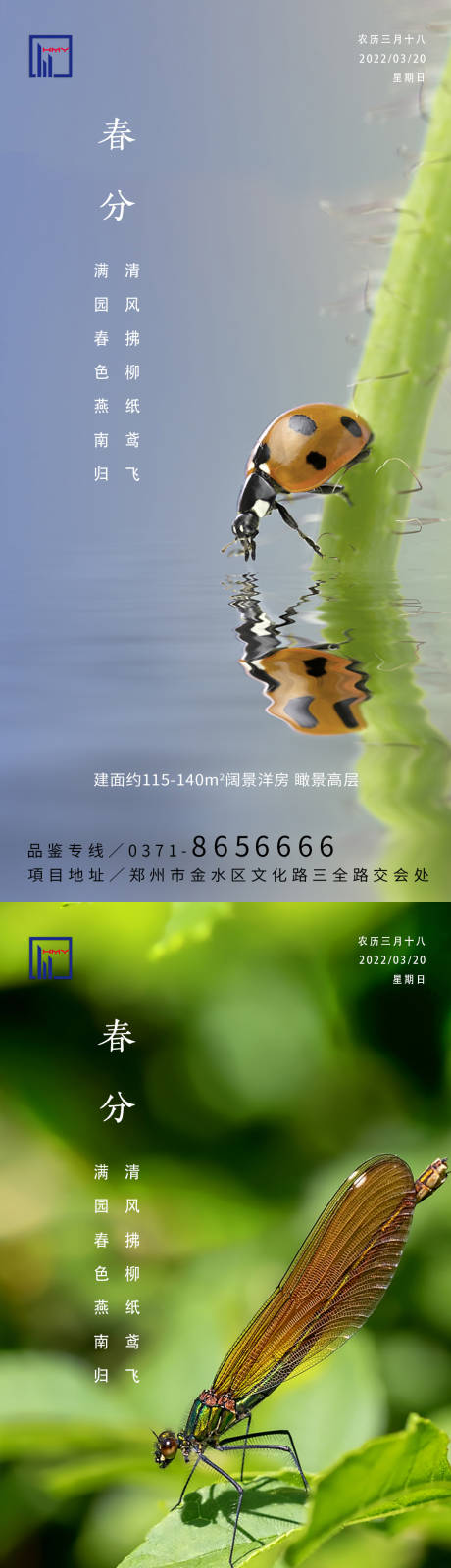 源文件下载【春分节气系列海报】编号：33480008929433257