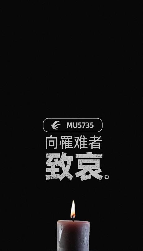 源文件下载【罹难者致哀公益海报】编号：30640009065997632
