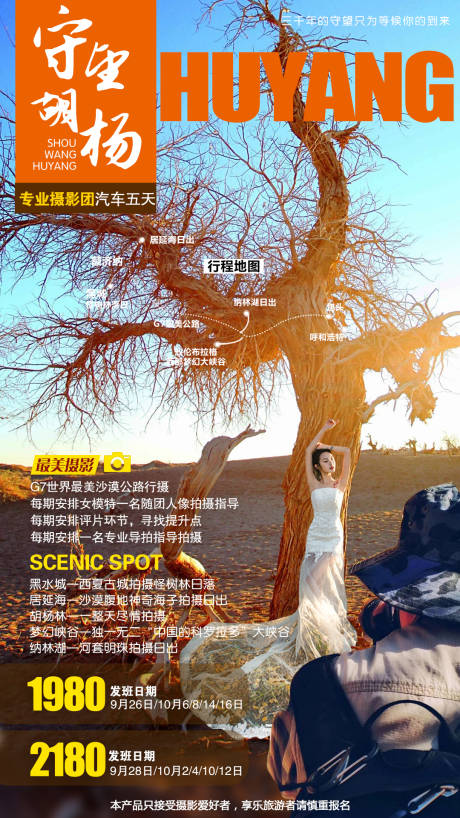 源文件下载【守望的胡杨摄影旅游海报】编号：12060008822879524