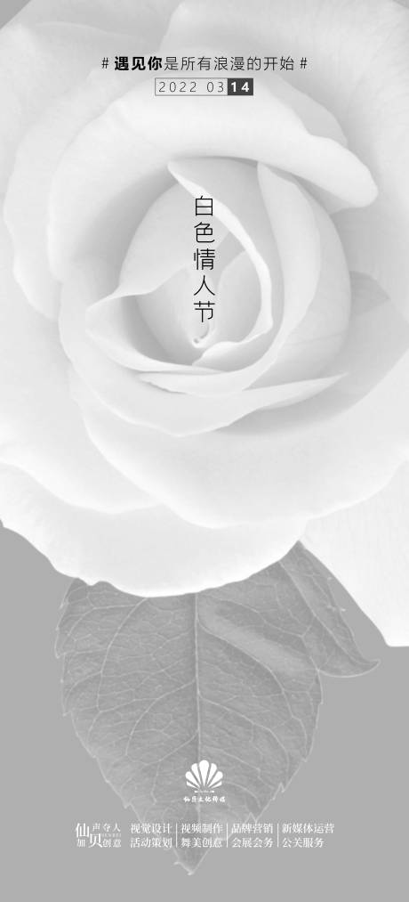 源文件下载【2022白色玫瑰背景白色情人节海报】编号：35300008781363689
