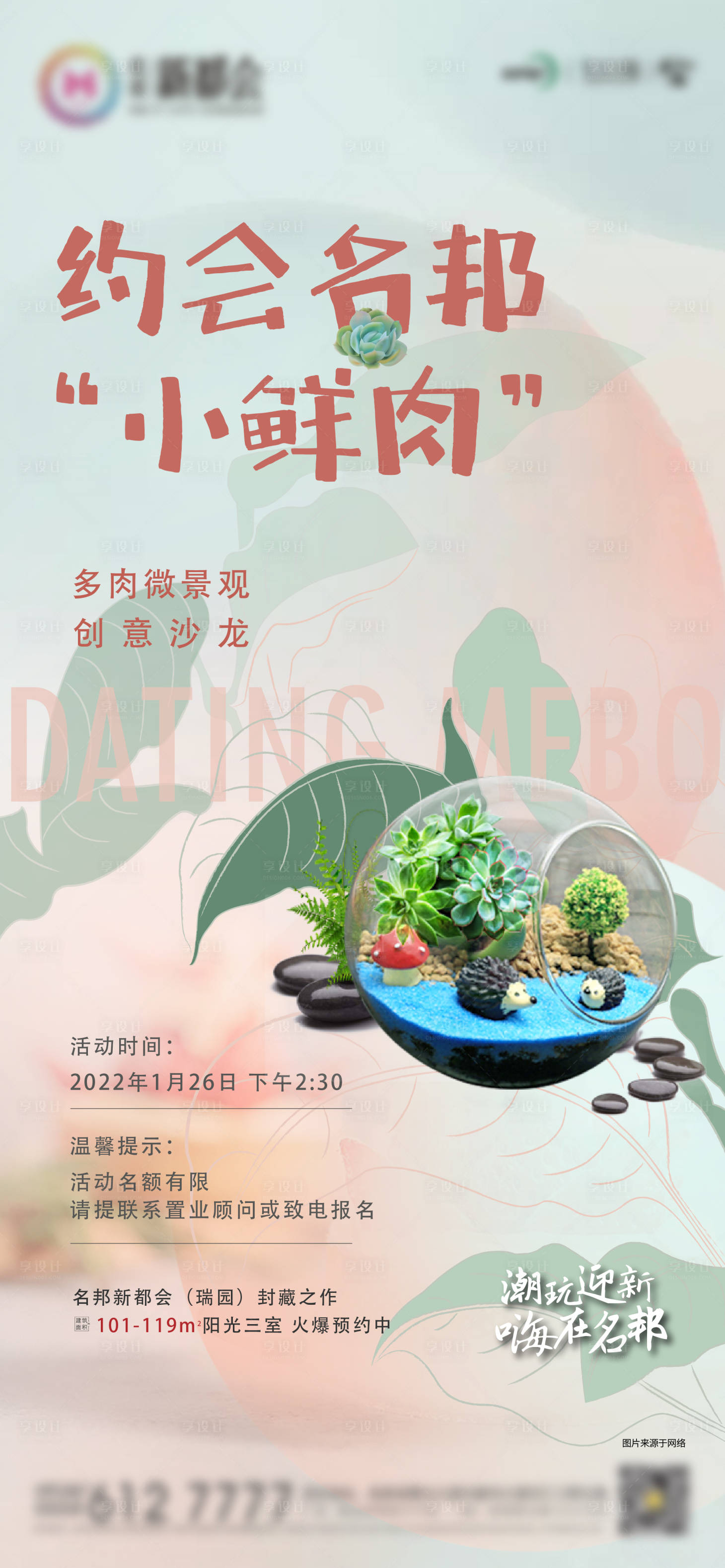 源文件下載【多肉】編號：71260008805377430