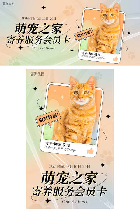 宠物猫宠物店banner宣传海报