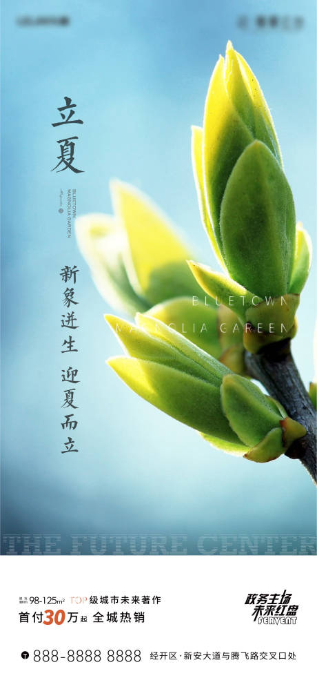 源文件下载【立夏节气海报】编号：14120009006577843