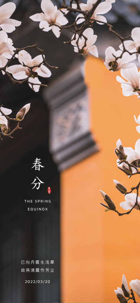源文件下载【二十四节气春分海报】编号：81310008939628864