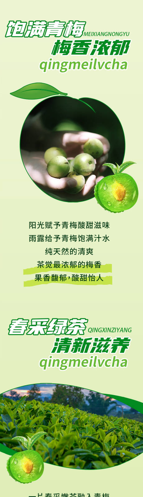 源文件下载【青梅绿茶饮品长图海报】编号：37480009180371935