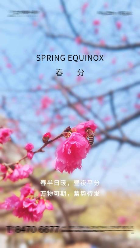源文件下载【春分】编号：49250009035348001