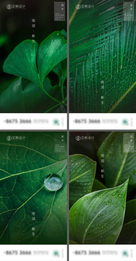 源文件下载【雨水】编号：51870008667908921