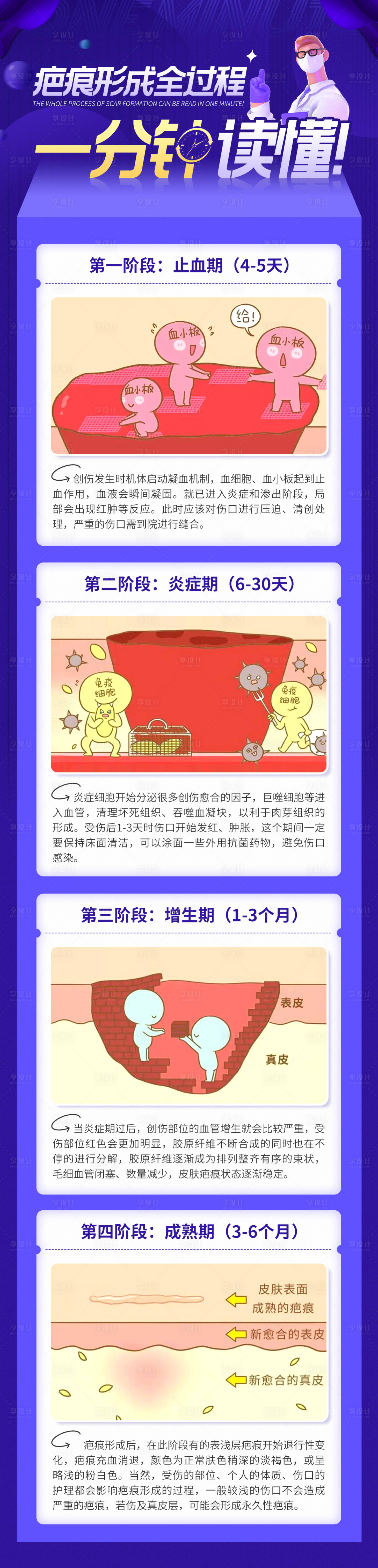 源文件下载【享设计】搜索编号：83100009045451017【疤痕形成全过程一分钟读懂】