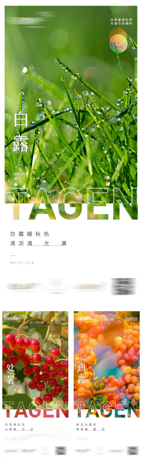 源文件下载【地产白露处暑系列节气海报】编号：92790008978162980