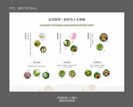 源文件下载【人居馆植物排版展板】编号：38470008689457974
