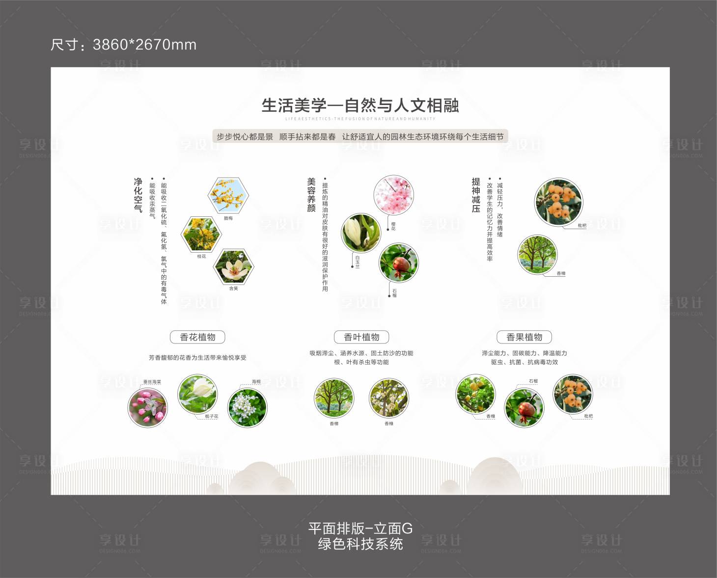 源文件下載【享設計】搜索編號：38470008689457974【人居館植物排版展板】